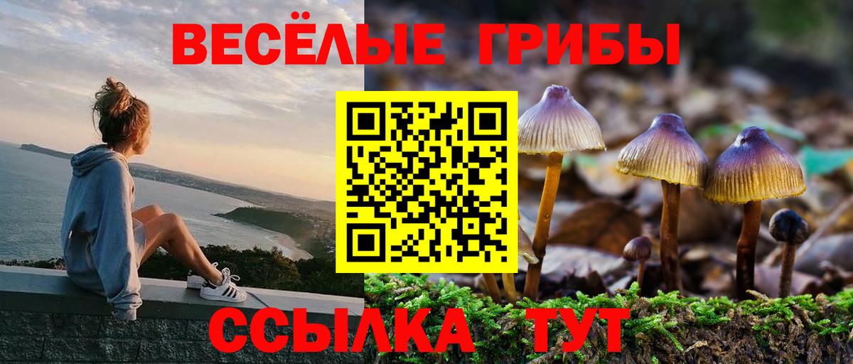 Сосновоборск  Галлюциногенные грибы прущие грибы  Вход с VPN 