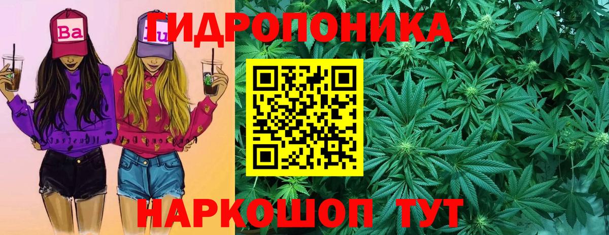 Шишки марихуана VHQ  Канабис индика  Бошки марихуана THC 21%  Сосновоборск  Вход с VPN  Конопля THC 21% 